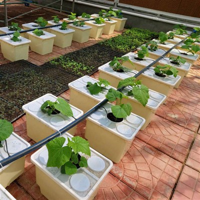 Growing Bucket
