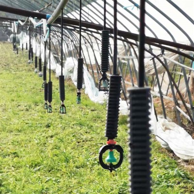Spraying System