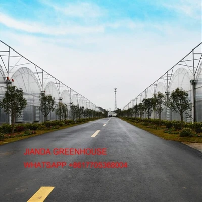 Film Greenhouse Feature