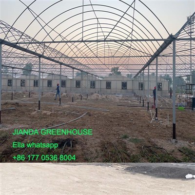 Muti Span Film Greenhouse in Qatar