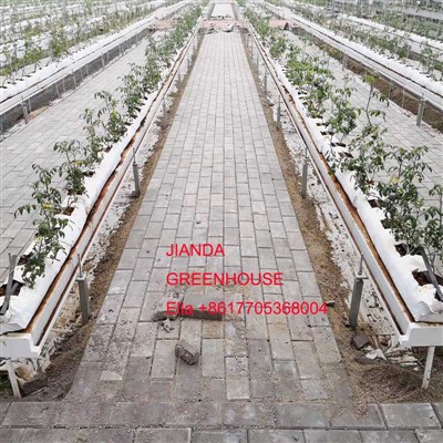 PVC TOMATO GUTTER IN GREENHOUSE TO GROW VEGETABLE