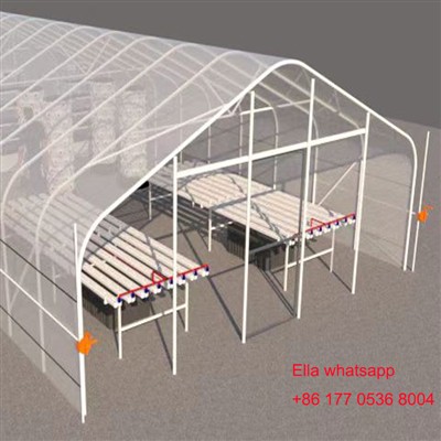 Arch Type Tunnel Single Span Film Greenhouse Also Called Hot House, Is The Fa...
