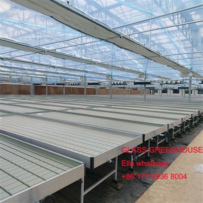 Supporting Facilities Of Various Greenhouses