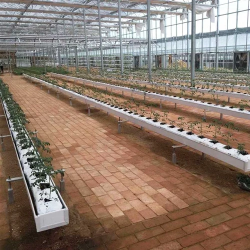 PVC PLANTING GUTTER FOR TOMATO