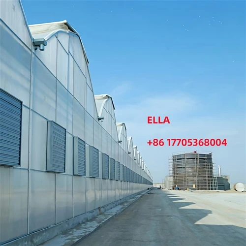 China Greenhouse Advantages