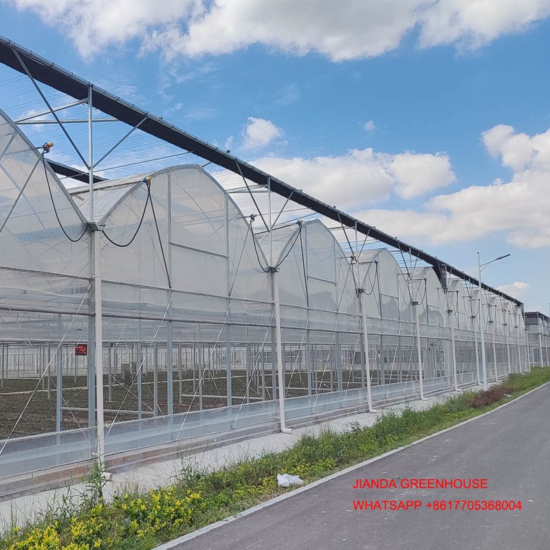 FILM GREENHOUSE 2 FILM GREENHOUSE 2
