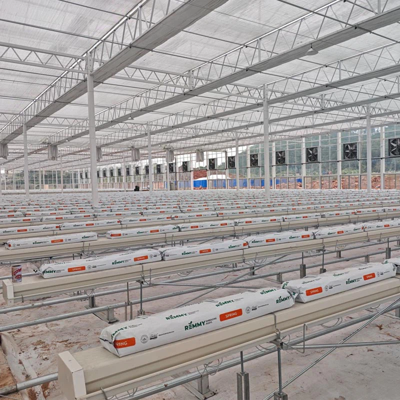 hydroponic greenhouse hydroponic greenhouse