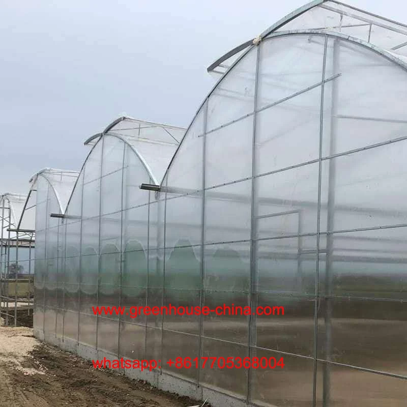 gothic greenhouse