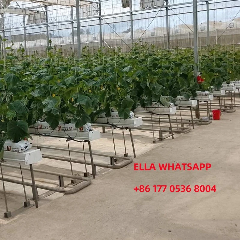 hydroponic greenhouse hydroponic greenhouse